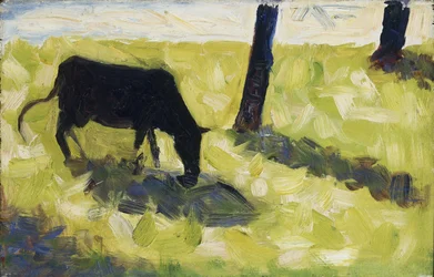 Black Cow in a Meadow